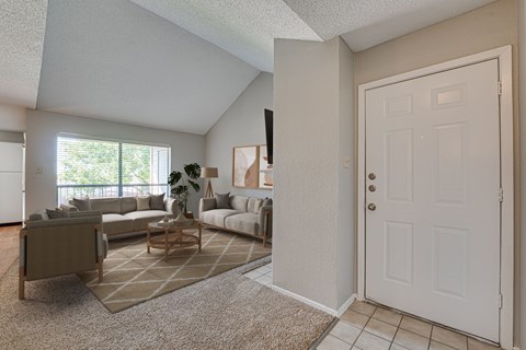 A living room with a couch, chair, and rug.