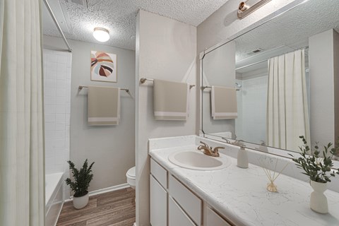 A bathroom with a white sink and a mirror.