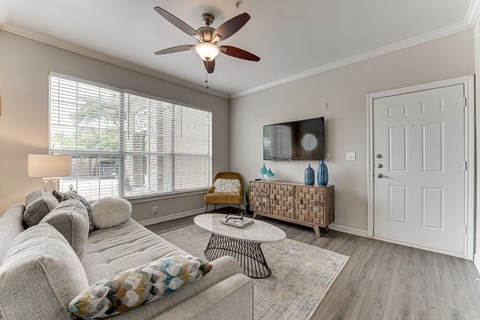 Living Room With TV at The Brazos, Dallas, Texas