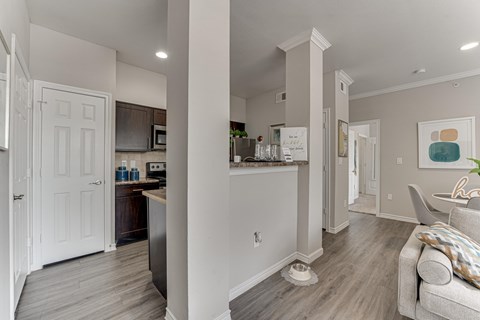 Kitchen And Living Area at The Brazos, Texas