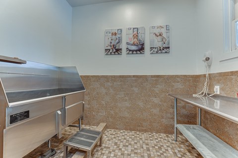 Pet Wash at The Brazos, Texas