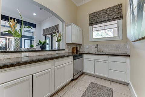 Kitchen Cabinets at The Brazos, Dallas