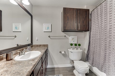 A bathroom with a sink, toilet, and shower. at The Brazos, Dallas, TX, 75287