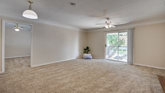 1661 Woodard Avenue 1-3 Beds Apartment for Rent - Photo Gallery 2