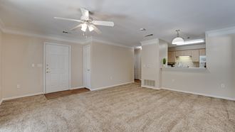 1661 Woodard Avenue 1-3 Beds Apartment for Rent - Photo Gallery 4
