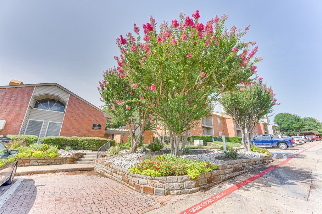 A red flowering tree in front of a brick building at Copper Hill Apartments, Bedford