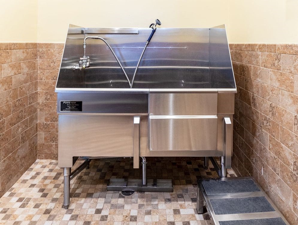 Dog wash at The Brazos, Texas, 75287