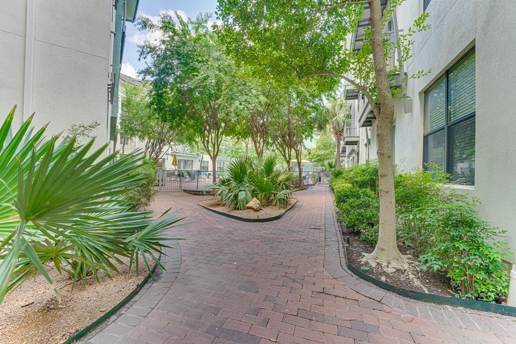 Courtyard Walking Path at Vue Fitzhugh, Dallas, TX, 75204