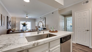 Sink With Faucet at Highland Luxury Living, Lewisville - Photo Gallery 2