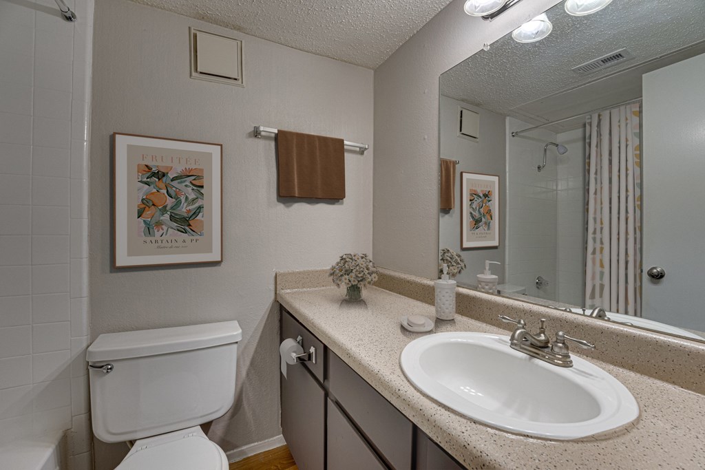 A bathroom with a white toilet, a sink, and a mirror at Indian Creek Apartments, Texas, 75007