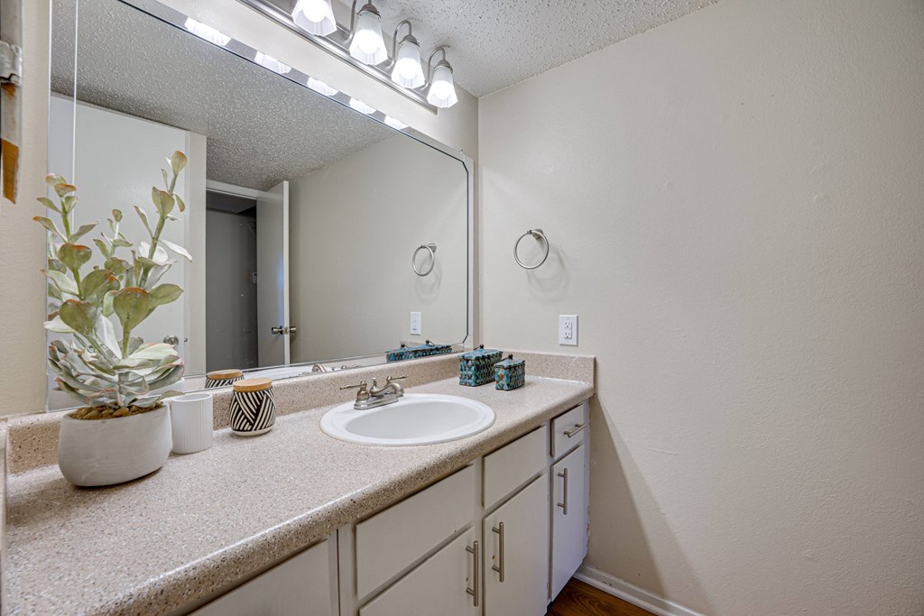 a bathroom with a sink and a mirror and a potted plant at Indian Creek Apartments, Carrollton, TX