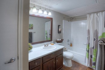 Bathroom With Vanity Lights at The Manhattan Apartments, Dallas, 75252 - Photo Gallery 10