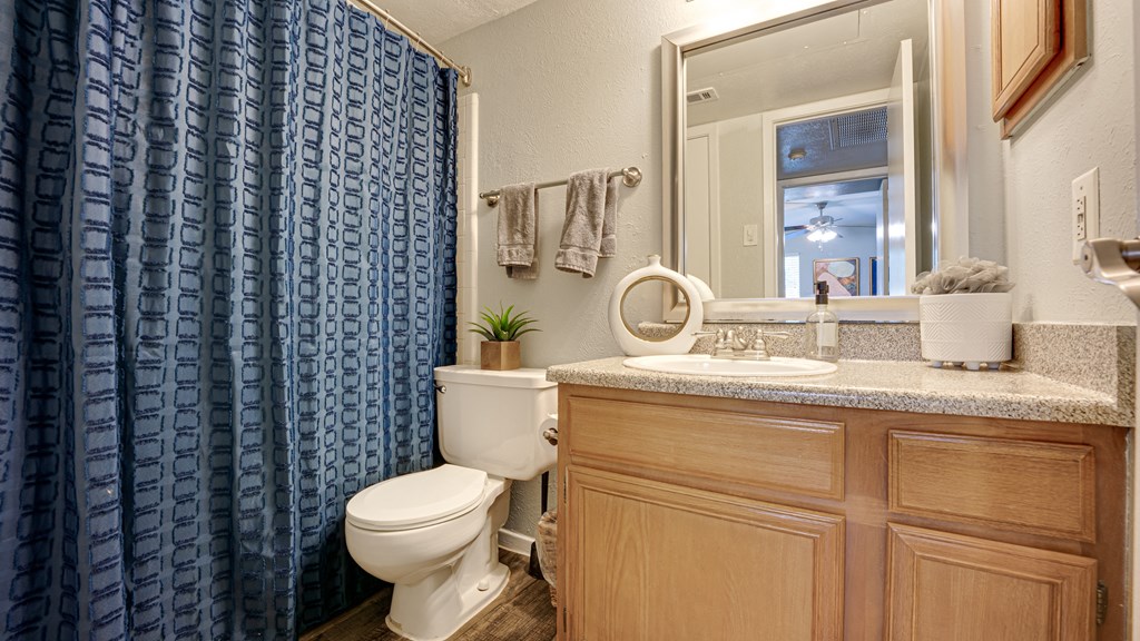 Luxurious Bathroom at Southern Oaks, Texas
