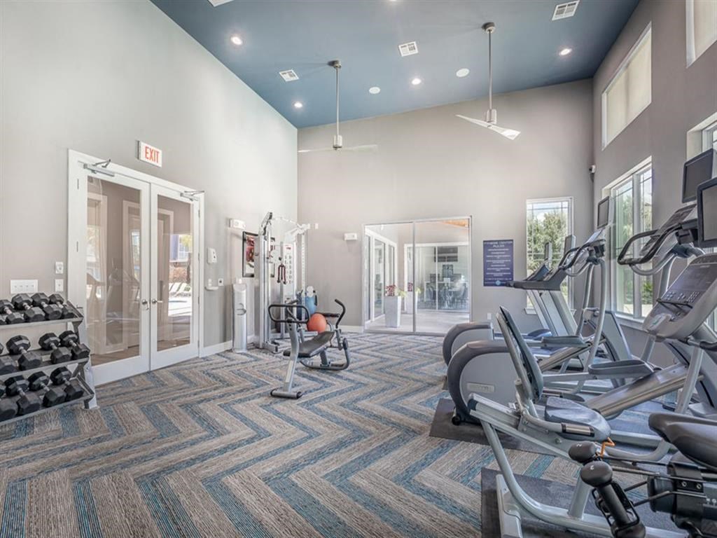 Fitness Center With Modern Equipment at Delray Apartments, Texas, 77077