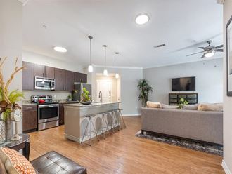 Living Room With Kitchen View Living Room With Kitchen View at Delray Apartments, Houston, TX