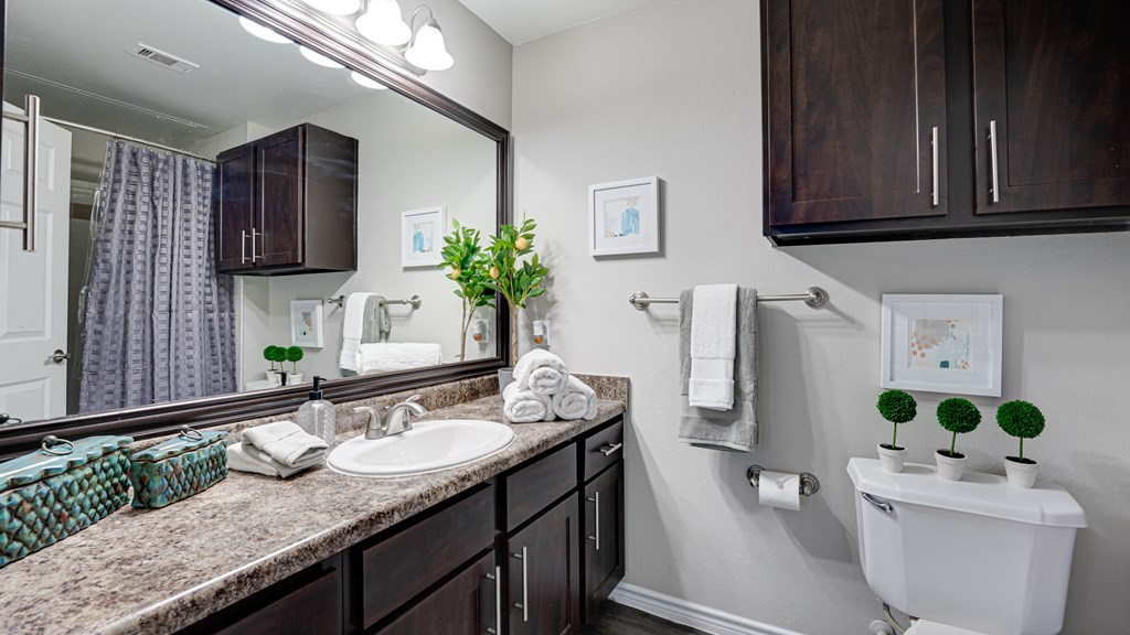 Luxurious Bathroom at The Brazos, Dallas