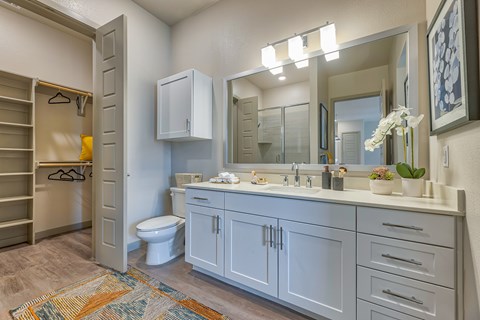 A bathroom with a toilet, sink, and a mirror.
