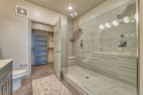 A bathroom with a walk-in shower and a toilet.