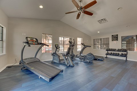 A spacious home gym with treadmills, elliptical machines, and a fan.