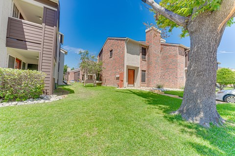 A tree in a yard in front of a house.