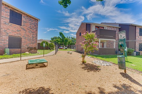A small tree is in the middle of a dirt area.