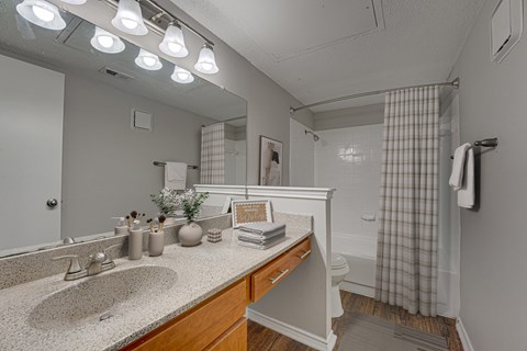 A bathroom with a sink, mirror, and shower.