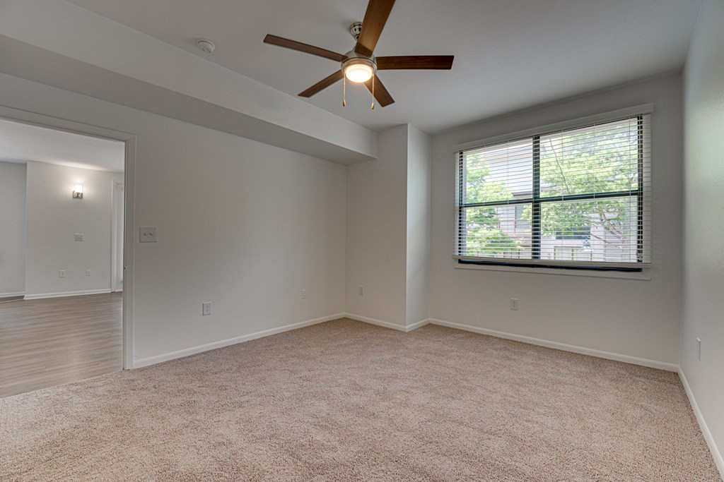 Plush Carpeting at Vue Live Oak, Dallas