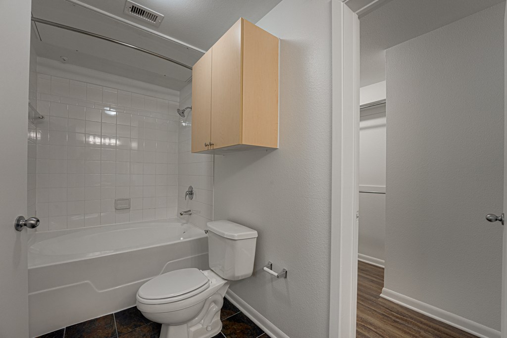 Bathtub at Vue Live Oak, Dallas, Texas