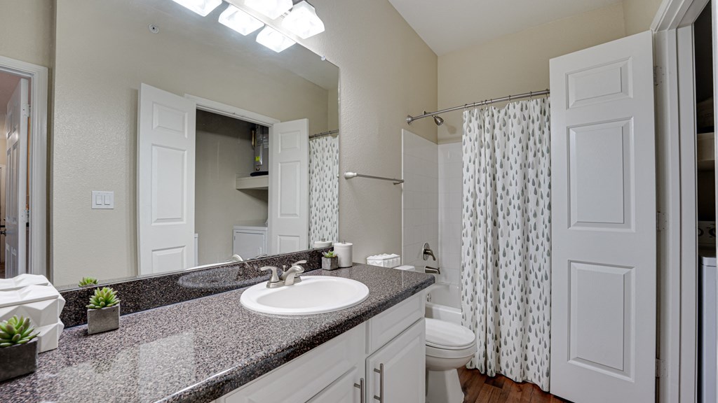 Modern Bathroom at Wind Dance, Carrollton, 75010