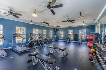 Fitness Center at Wind Dance Apartment Homes, Carrollton TX