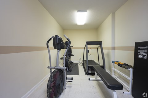 A gym room with a rowing machine, a bench, and a dumbbell rack.
