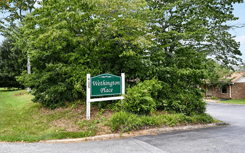 A sign that says Wellington Place is surrounded by greenery.