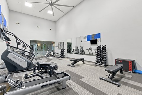 A gym with a treadmill, rowing machine and weights.