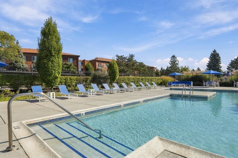 A swimming pool with blue water and lounge chairs.