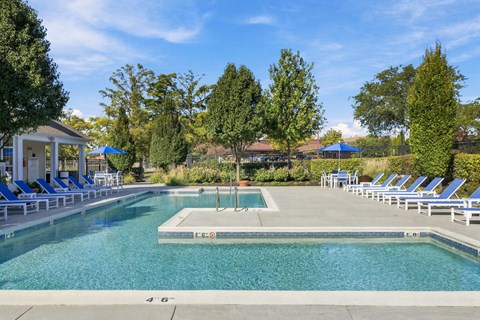A large swimming pool surrounded by blue lounge chairs.