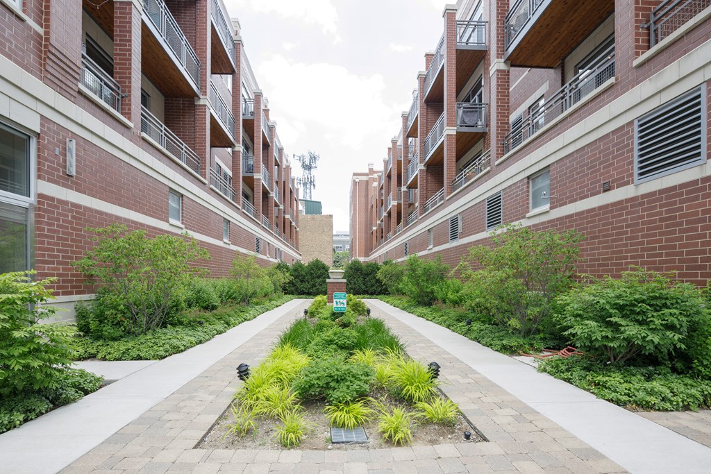 A long walkway with plants on either side leading to a building.