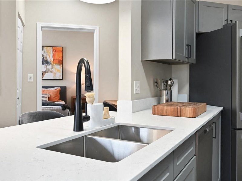 double stainless steel sink with a modern black faucet
