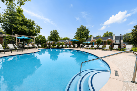 A large outdoor swimming pool with a blue sky and trees in the background.