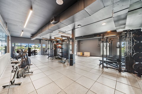 A spacious gym with a variety of equipment including treadmills, weight machines, and free weights.