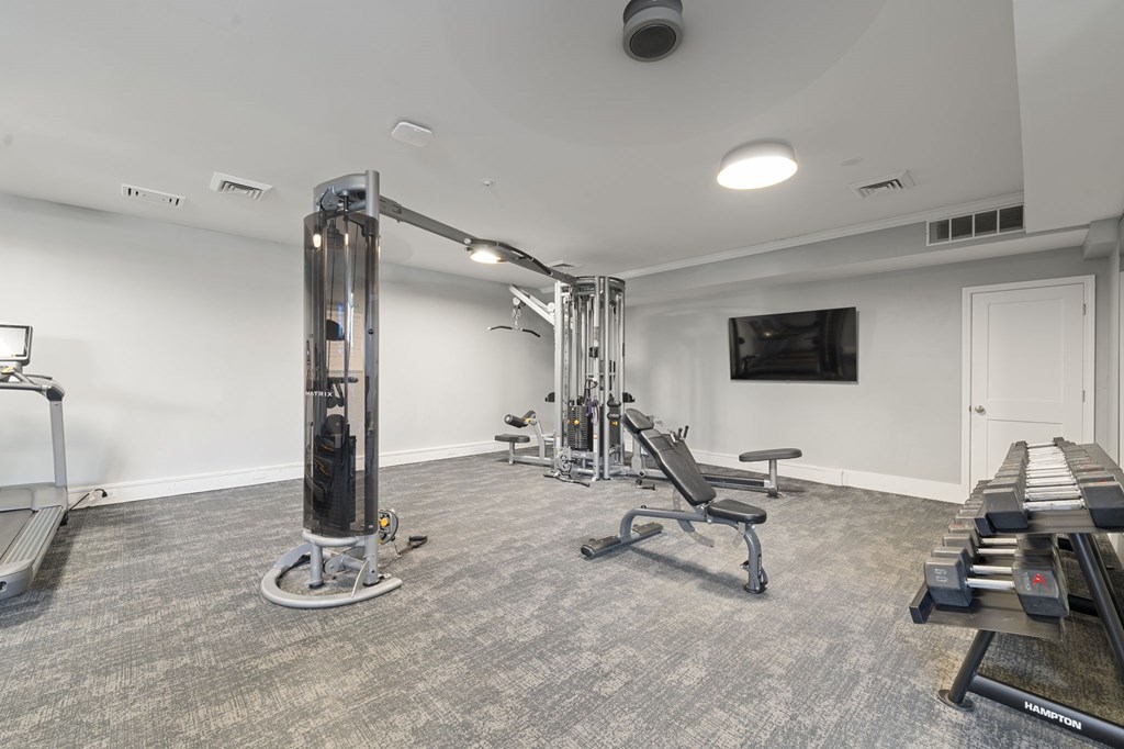 A gym with a variety of equipment including a squat rack, bench, and weights.