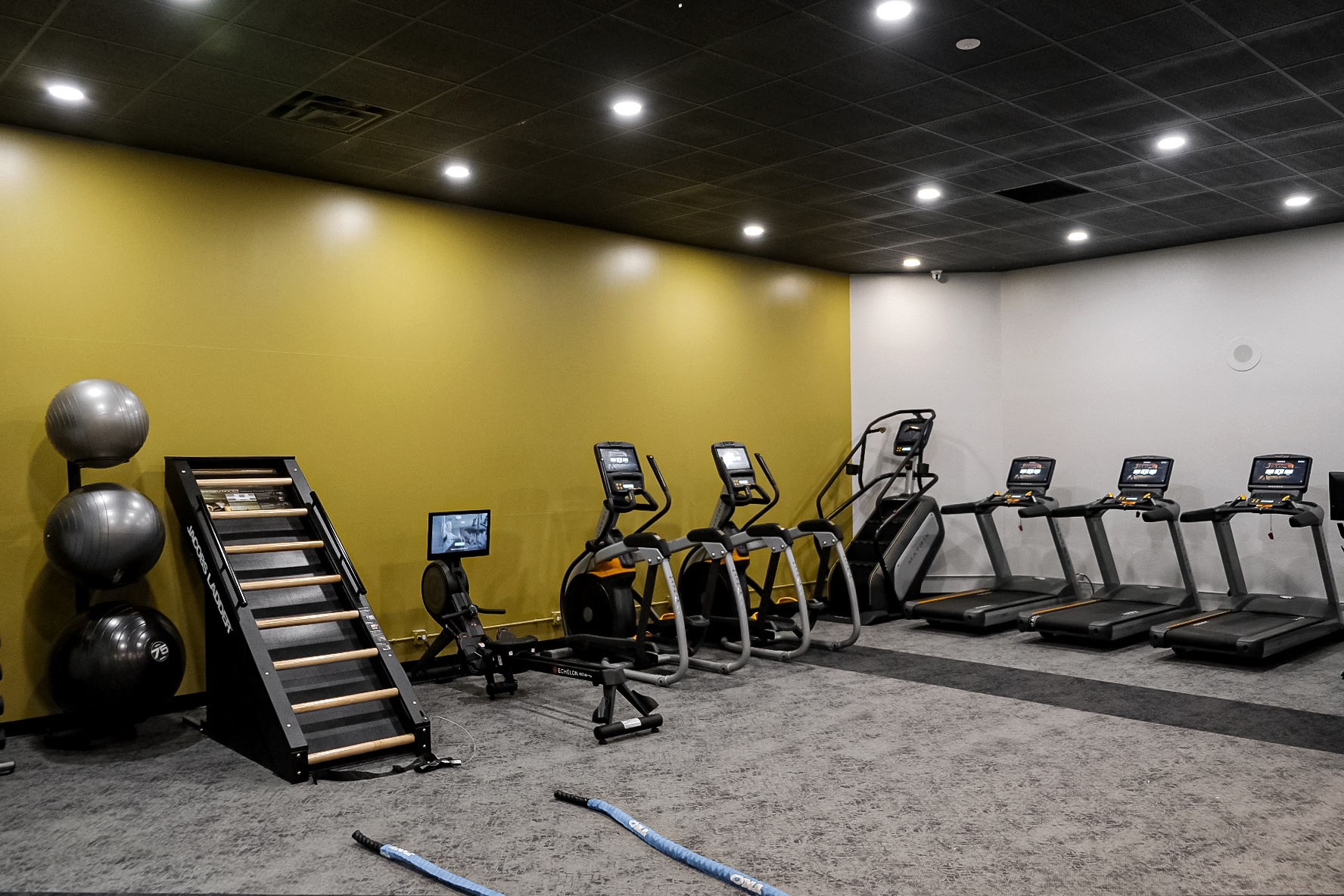 Arbor Hills Apartments