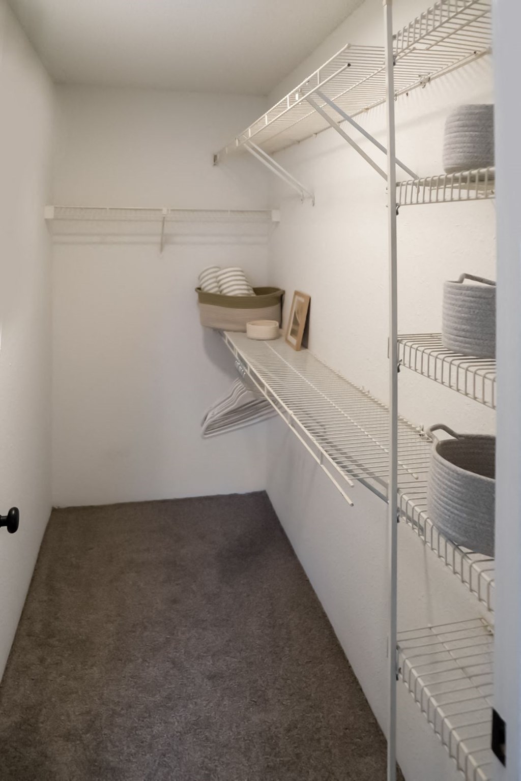 a walk in closet with white walls and gray carpet