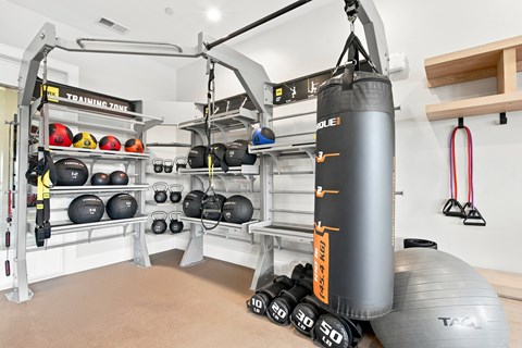 A gym with a punching bag, weights and a bench.