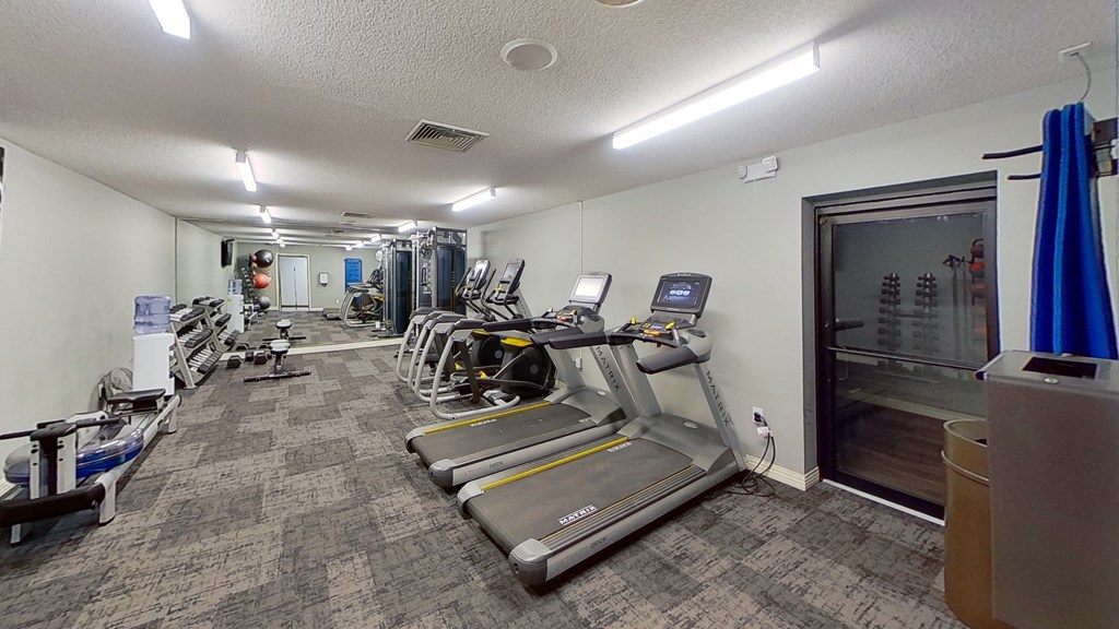 our gym has a lot of cardio equipment and dumbbells