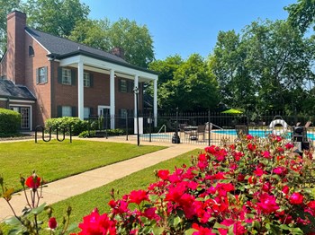 1008 Village Green Crossing 1-3 Beds Apartment for Rent - Photo Gallery 3
