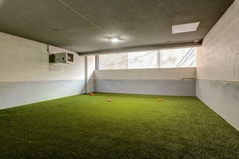 Covered dog run and pet wash station