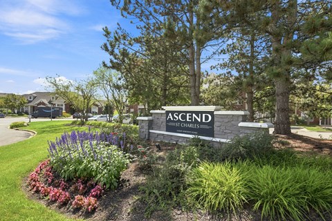 A sign that says "Ascend" stands in front of a flower bed.