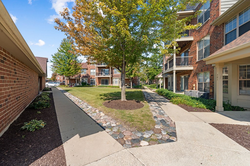 A tree with yellow leaves is in the middle of a grassy area between two rows of houses.