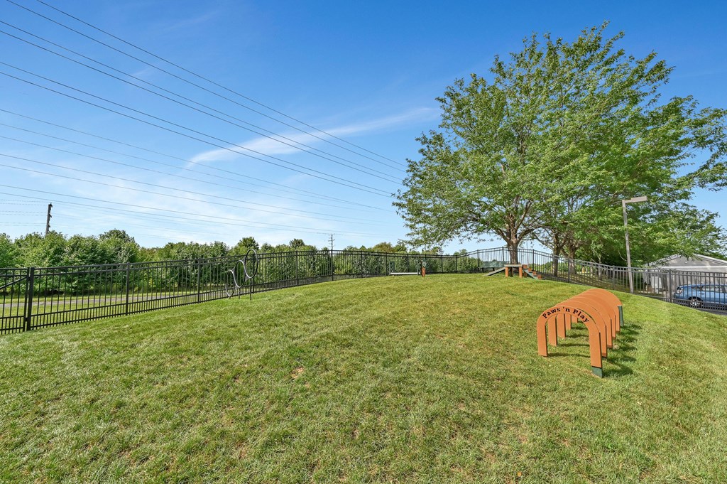 Farmington Lakes private dog park with agility