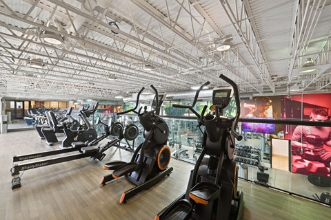 A gym with treadmills and exercise bikes.